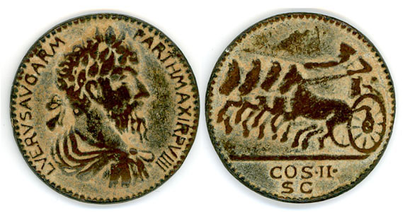 バクトリア コイン